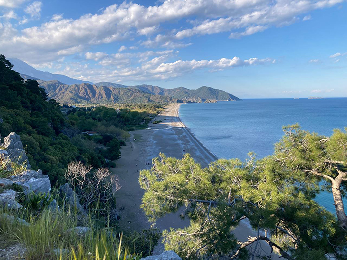 Проживание