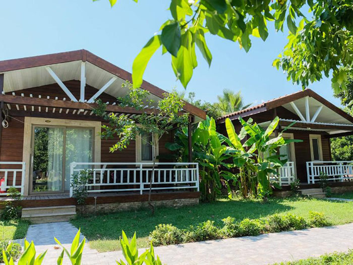 Проживание